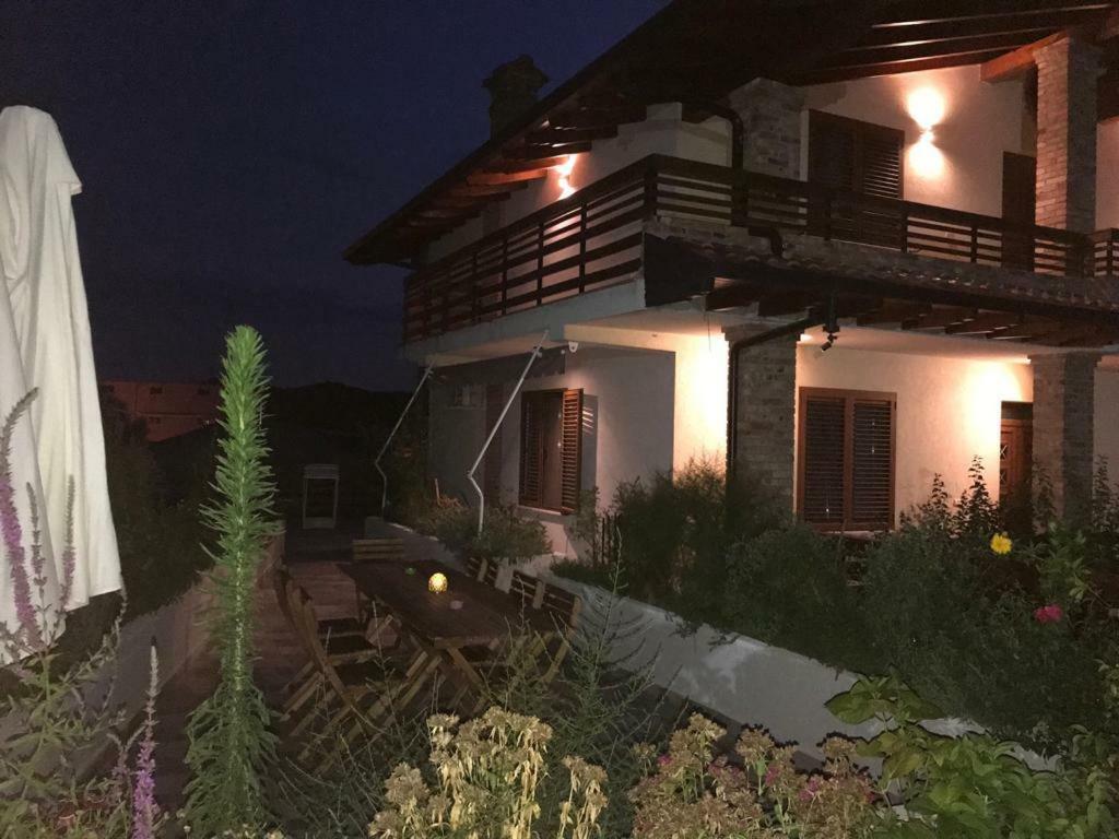 Sara's Shkodra